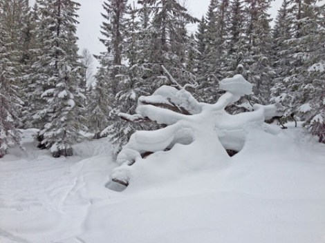 Kjentmannspost Stor Rotvelt ved Spålsveien.